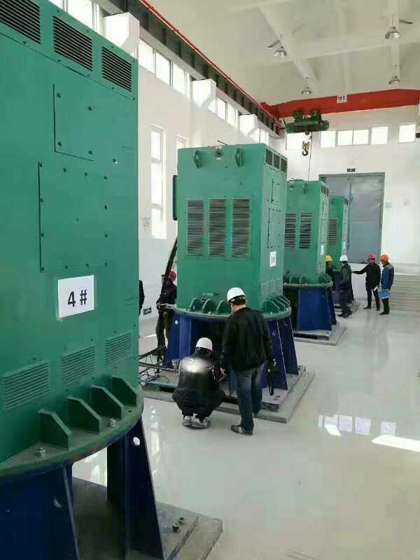 钟祥某污水处理厂使用我厂的立式高压电机安装现场